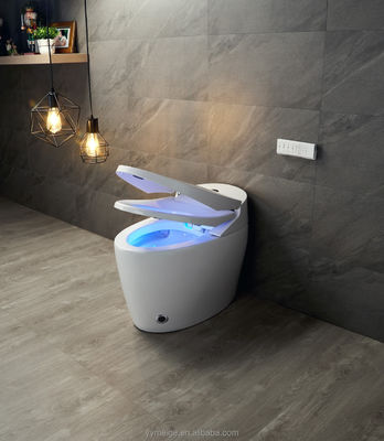 Офисное здание Luxury Lower Cistern Eco Smart Автоматический интеллектуальный туалет с регулируемой температурой и техническими характеристиками