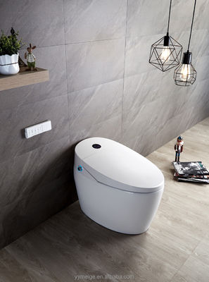 Офисное здание Luxury Lower Cistern Eco Smart Автоматический интеллектуальный туалет с регулируемой температурой и техническими характеристиками