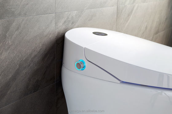 Офисное здание Luxury Lower Cistern Eco Smart Автоматический интеллектуальный туалет с регулируемой температурой и техническими характеристиками