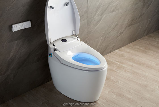 Офисное здание Luxury Lower Cistern Eco Smart Автоматический интеллектуальный туалет с регулируемой температурой и техническими характеристиками